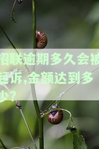 招联逾期多久会被起诉,金额达到多少?-招联逾期多久会被起诉,金额达到多少可以起诉