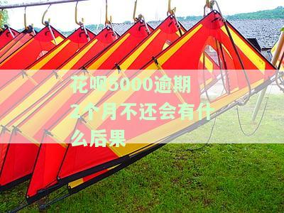 花呗5000逾期2个月不还的严重后果及解决办法