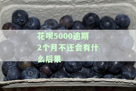 花呗5000逾期2个月不还会有什么后果-花呗5000逾期2个月不还会有什么后果吗