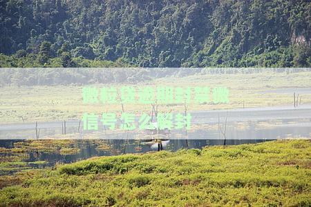 微粒贷逾期封禁微信号如何解封？步骤解析