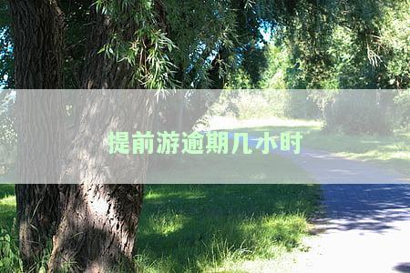 提前游逾期几小时