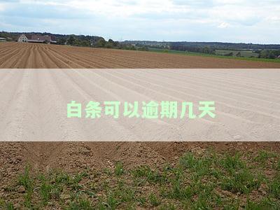 白条最多可逾期多久？还款宽限期与最长期限介绍