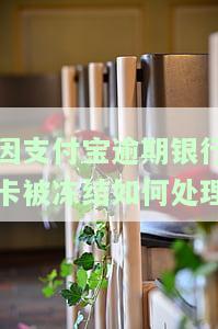支付宝逾期导致银行卡冻结，如何还款？能否在银行重新办卡？