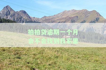拍拍贷逾期一个月：会找家人吗？催款上门？影响后续借款？利息多少？