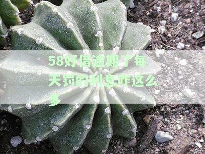 58好借逾期1天全部还清后能否再次借款？安全吗？
