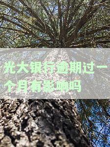 光大银行逾期一次，还能继续使用吗？逾期一年多后告知无需还款，可以协商吗？逾期一个月下期账单需要全额还款吗？