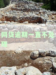 网贷逾期不管会带来什么后果？