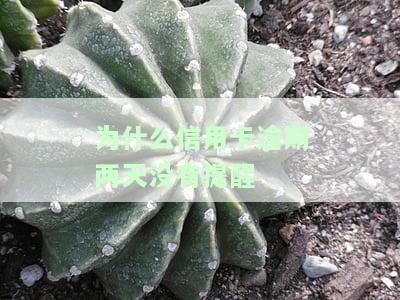 为什么信用卡逾期两天没有提醒还款？影响严重吗？