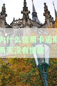 信用卡逾期两天：会产生不良记录和利息，影响征信吗？