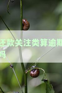 还款关注类算逾期？贷款还清后如何恢复？