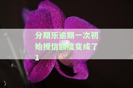 分期乐申请额度显示征信报告是什么意思？详解信用报告在分期乐中的显示情况