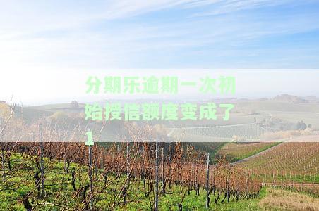 分期乐额度重审：审核中、未通过如何重新风控？