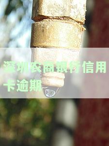 深圳农商银行信用卡逾期