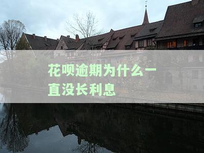 花呗逾期太久没还，如何解决账单不显示、无法还款及解冻问题？