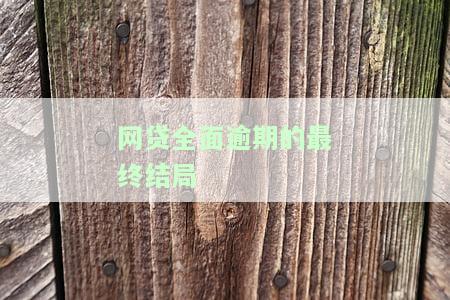 网贷全面逾期的最结局：从经历到解决方法全解析
