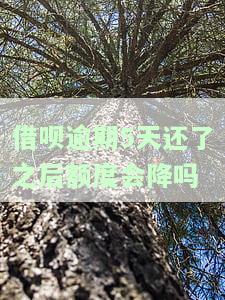 借呗逾期5天后还款会影响征信吗？了解最佳处理方法