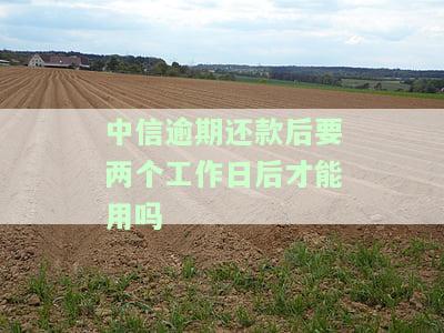 中信逾期还款后要多久才能使用？会影响征信吗？
