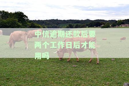 中信逾期还款后要两个工作日后才能用吗