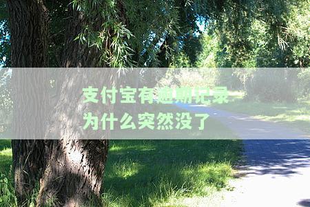 支付宝有过逾期：如何影响购车、房贷及银行贷款申请？逾期记录多久能消除并继续贷款？