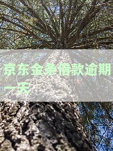 京东金条借款逾期一天