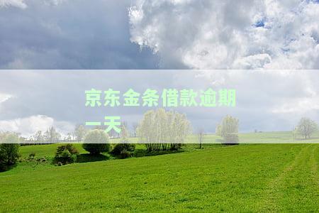 京东金条借款逾期一天的影响及解决策略