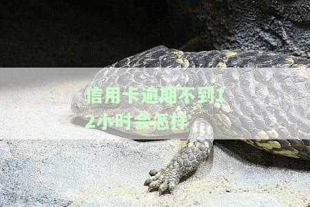 信用卡逾期不到12小时的影响：知乎上网友的经验分享
