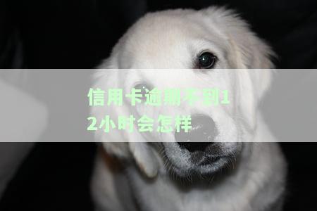 不小心信用卡逾期十几天？关系大吗？2021年新规定及后果解析