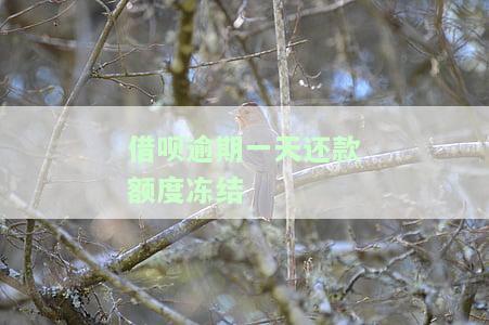 借呗逾期一天还款额度冻结了解决方法