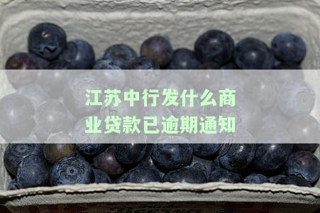 中国银行商业贷款逾期：影响征信吗？有宽限期吗？多久会被起诉？