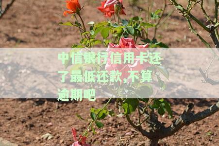 中信银行信用卡还了最低还款，不算逾期吗？需要继续还剩余金额吗？