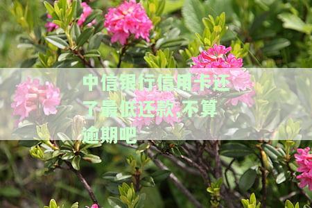 中信银行信用卡还了最低还款,不算逾期吧-中信银行信用卡还了最低还款,不算逾期吧吗