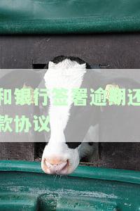 和银行签署逾期还款协议是否合法？