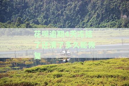 花呗逾期六天被冻结，多久能恢复正常？
