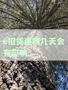 'e招贷逾期后果：影响征信、可能坐牢，详解信用卡e招贷逾期风险'