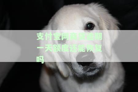 支付宝网商贷逾期一天会影响信用吗？