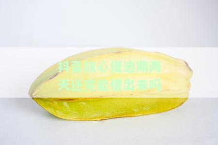 抖音放心借：逾期两天还款后能否再次借款？安全性如何？真的可以借吗？逾期三天还有机会吗？