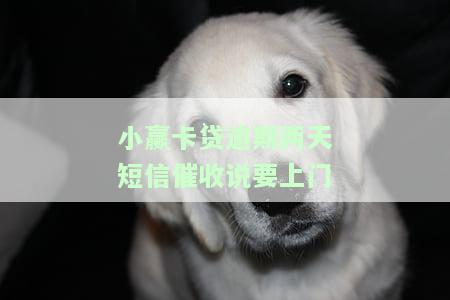 小赢卡贷逾期两天短信催收说要上门核实，是否真实？逾期2天即电话威胁通知家人，催款方式引争议