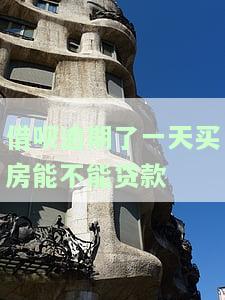 借呗逾期一天影响买房贷款吗？视频解析