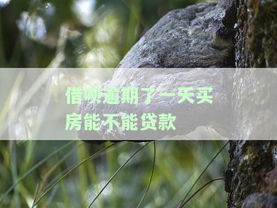 借呗逾期了一天买房能不能贷款-借呗逾期了一天买房能不能贷款呢