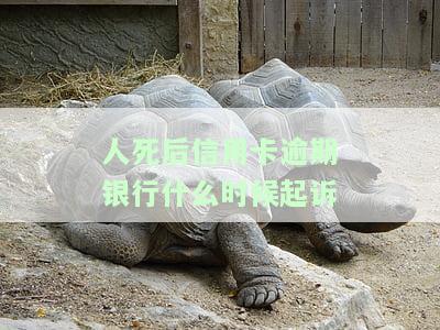 人死后信用卡逾期催款流程及影响：滞纳金、利息计算与家人关系