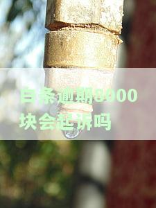 白条逾期100天，欠款8000元，是否会被告上法庭？