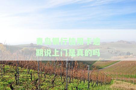 青岛银行：逾期三个月后能否停息挂账？期还款、宽限期及最晚还款日期全解