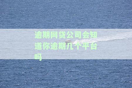 网贷逾期会查到公司吗？影响及解决办法全解析