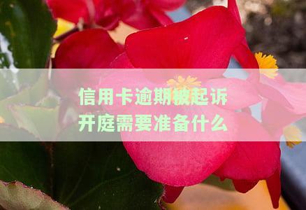 信用卡逾期被起诉开庭：需要准备什么资料？