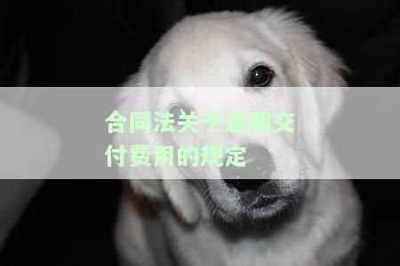 合同法关于逾期交付费用、逾期付款及其违约责任的规定