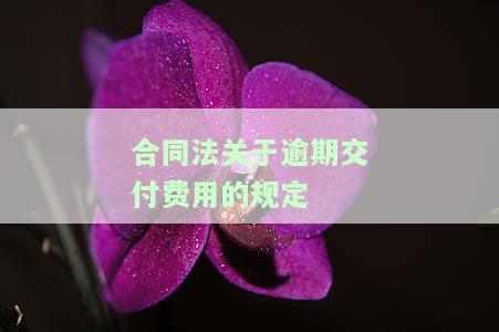 合同法关于逾期付款违约责任的规定与条款