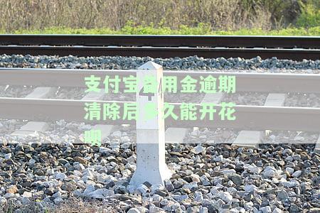 支付宝备用金逾期后还款，多久能再次取用？
