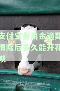 支付宝备用金逾期后多久能再用花呗？逾期12天、5天才归还，花呗被禁用