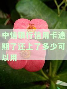 中信银行卡逾期还款后第二天能否使用？逾期有何风险？如何解决无法刷卡问题？
