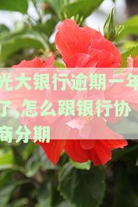光大银行逾期协商还款方式：协商多少金额、多少天合适？需要重新签订协议吗？协商还款难度如何？